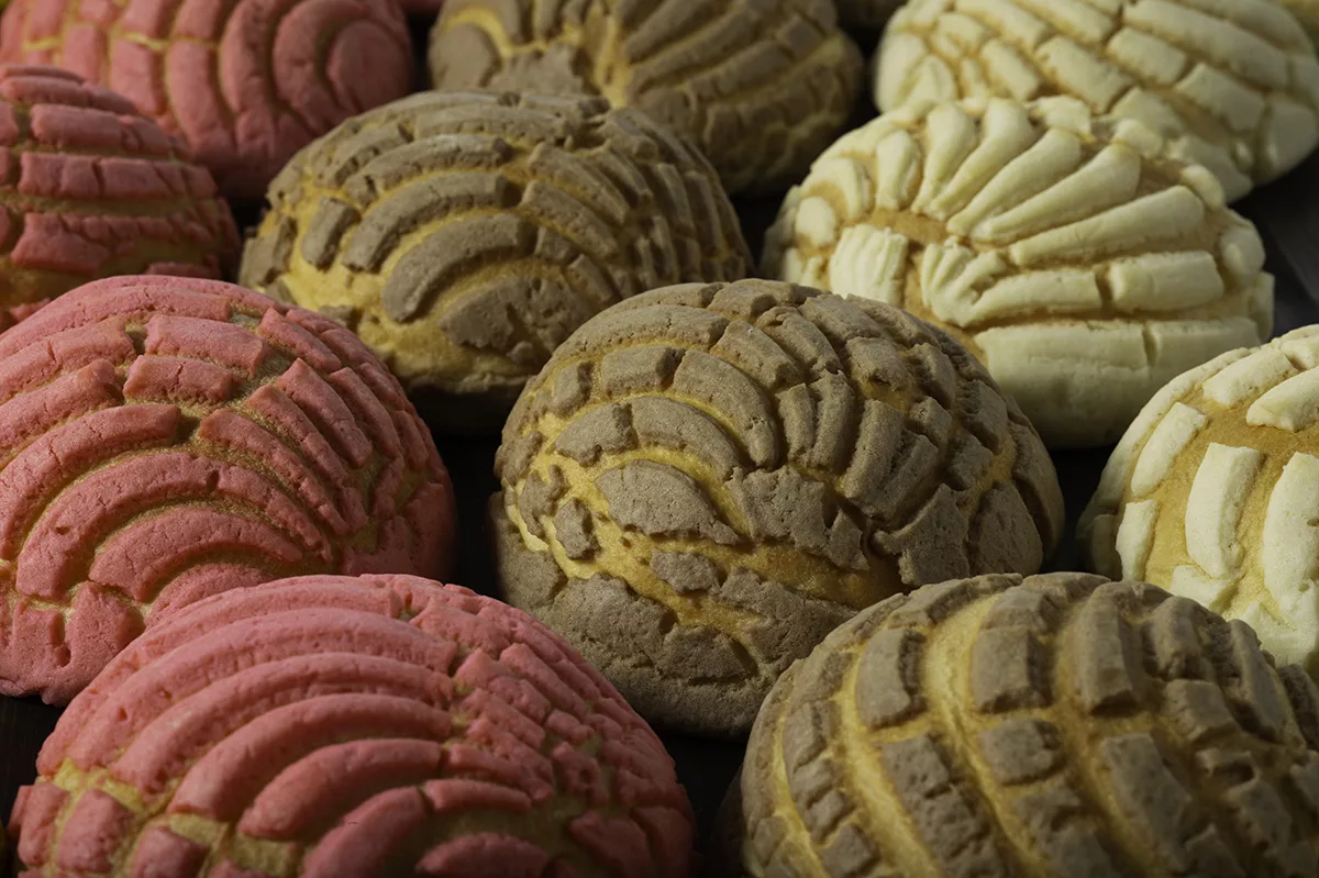 Dawn_FrozenConchas.jpg